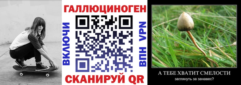 Купить закладки  Темников  Псилоцибиновые грибы мухоморы 