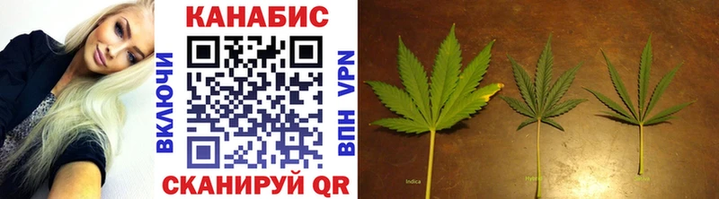 Купить  Темников  Каннабис SATIVA & INDICA 